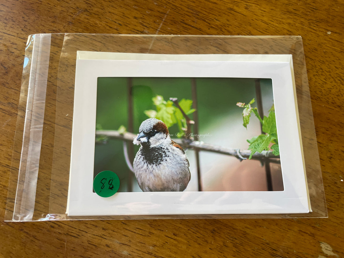 #88- Bird Casa de Fruta in Hollister