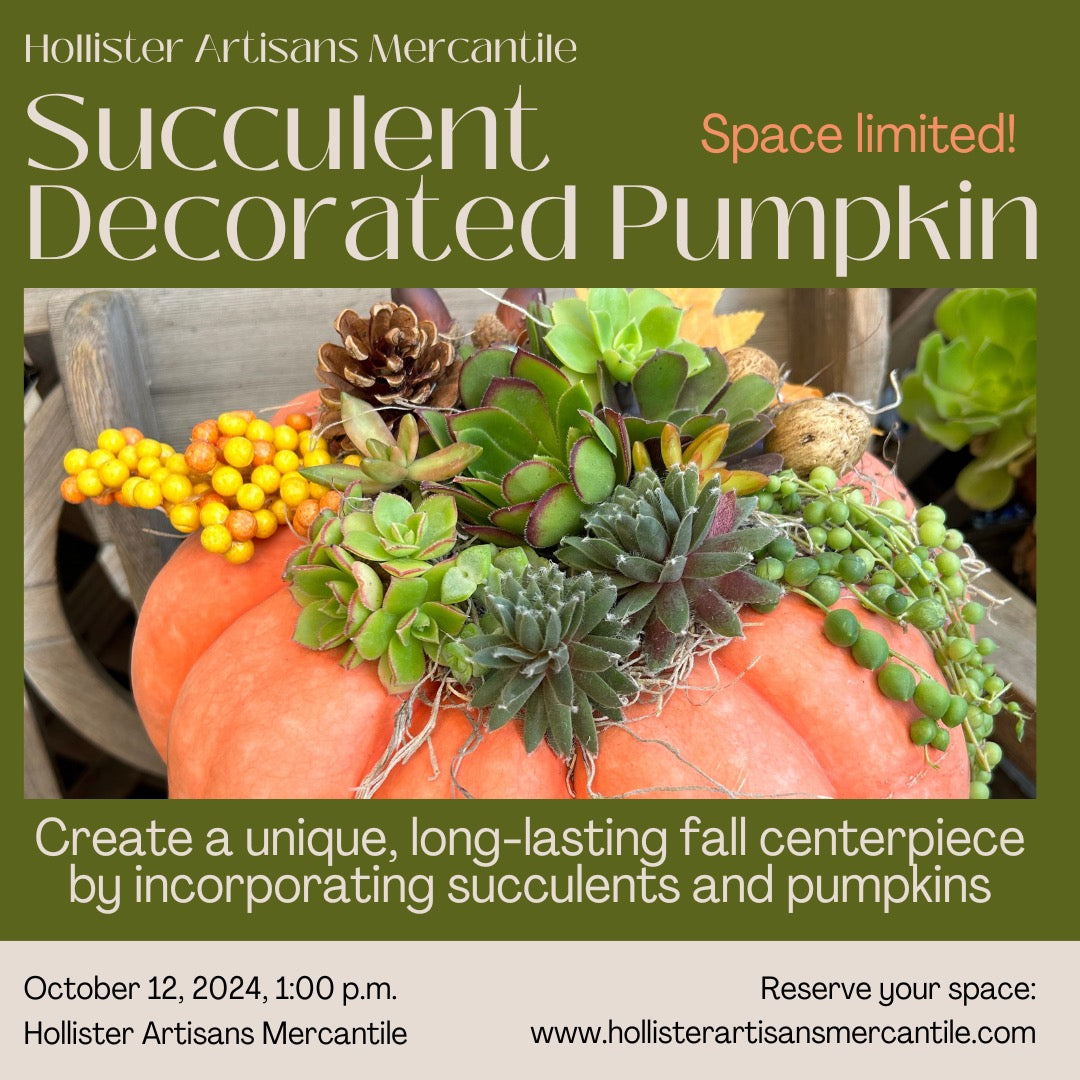 AA Fall Pumpkin Succulent Arrangement Class 10/25