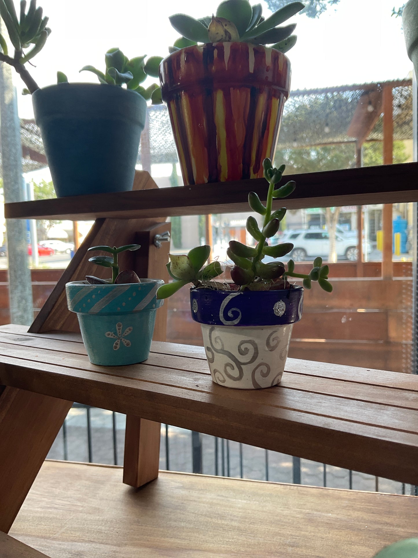 KK Mini Pot w/ Succulent