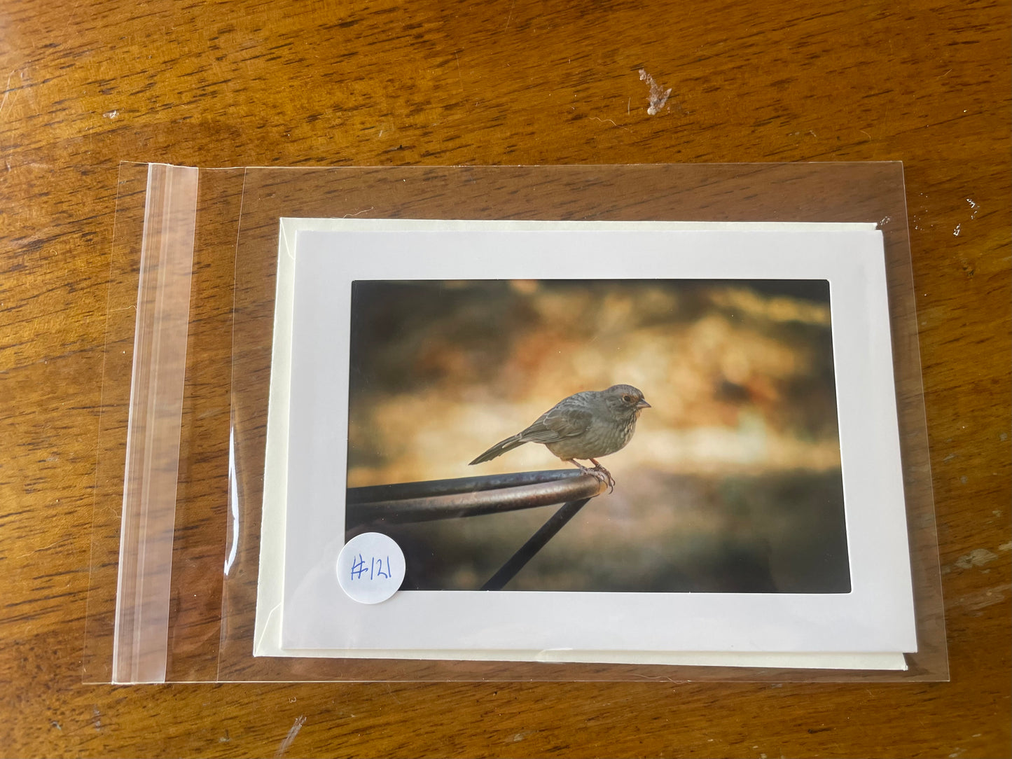 #121 Bird 4 x 6 Adam's Photography - San Benito County Historical Park