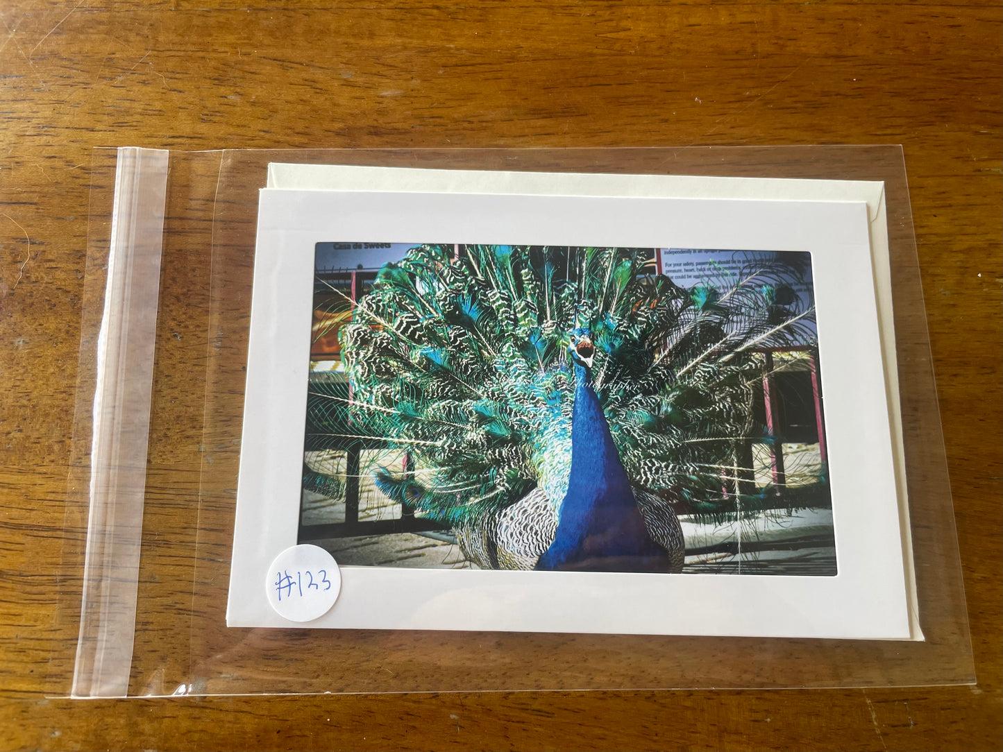 #123 Peacock 4 x 6 Adam's Photography - Casa de Fruta