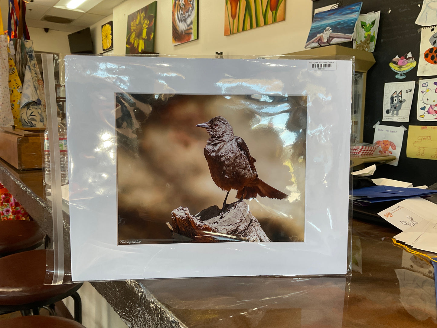 ABP 8x10 Bird at Casa de Fruta