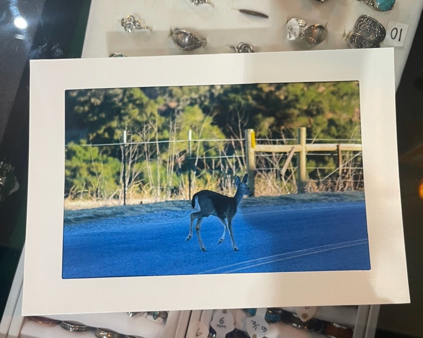 4 x 6 Adam's Photography - Crossing at Dawn – Hollister, CA