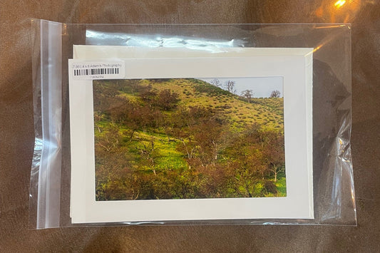 4 x 6 Adam's Photography - Green Mountains