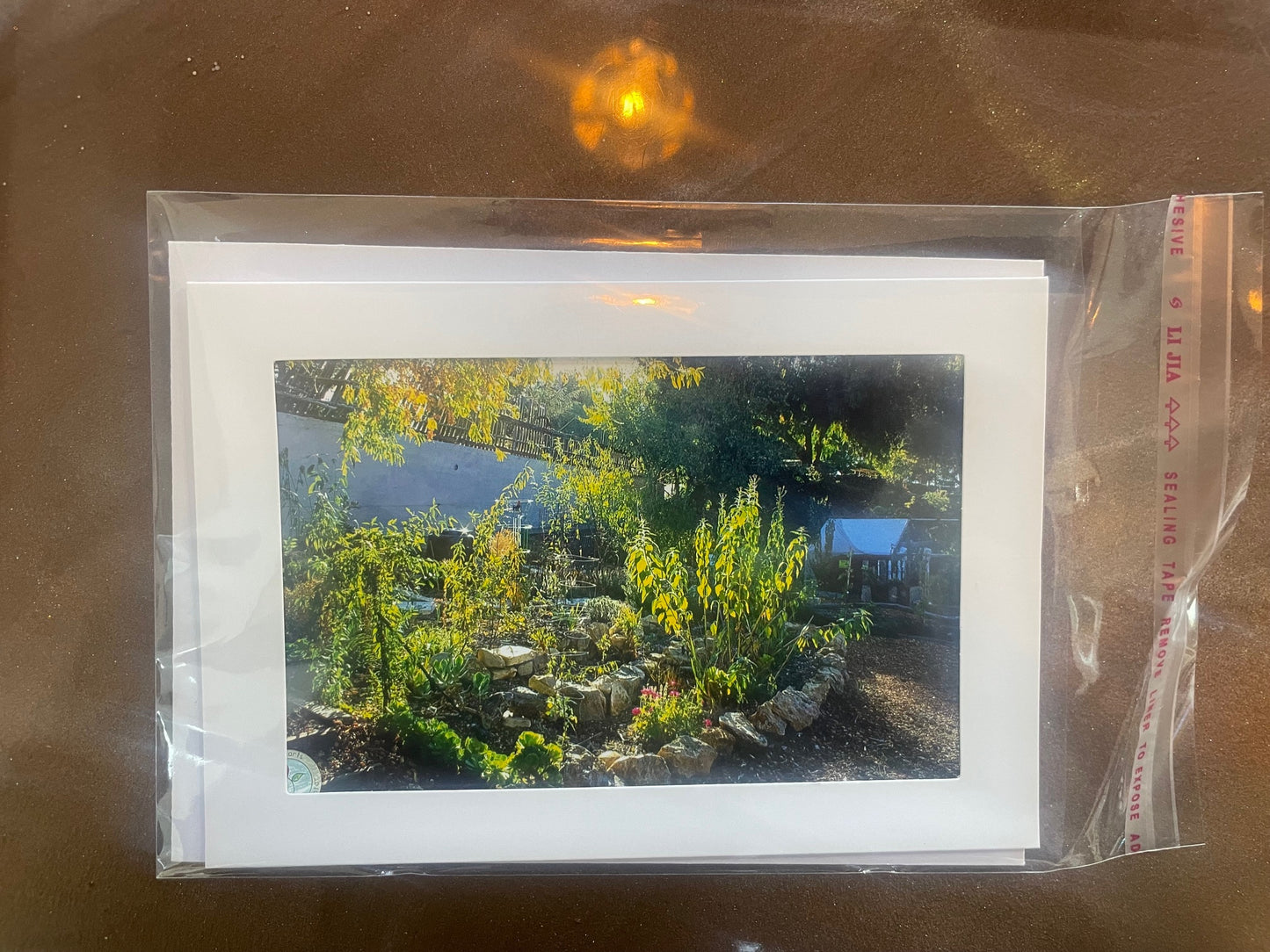 4 x 6 Adam's Photography - Community garden