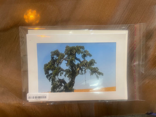 4 x 6 Adam's Photography - Tree