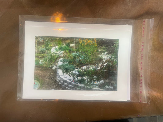 4 x 6 Adam's Photography - Community Garden