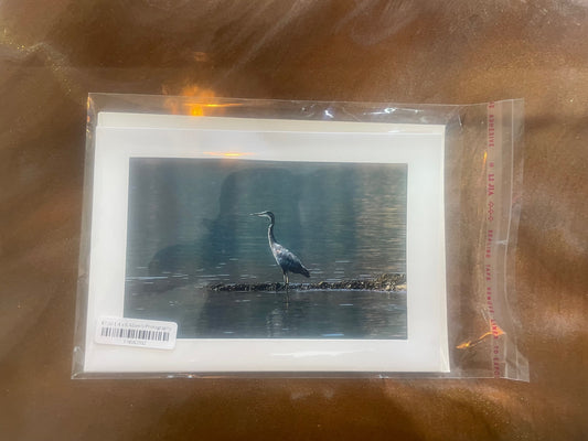 4 x 6 Adam's Photography - Great Blue Heron