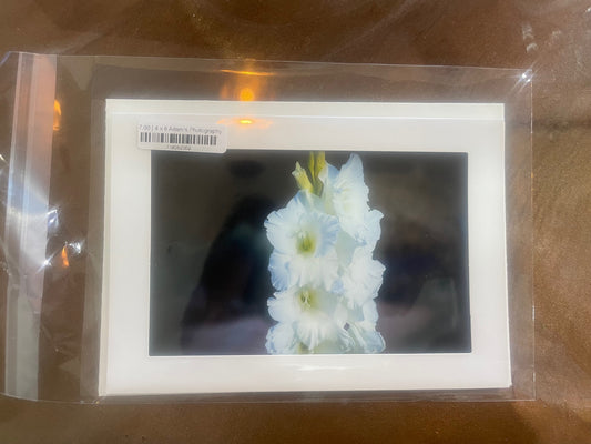 4 x 6 Adam's Photography - Flowers