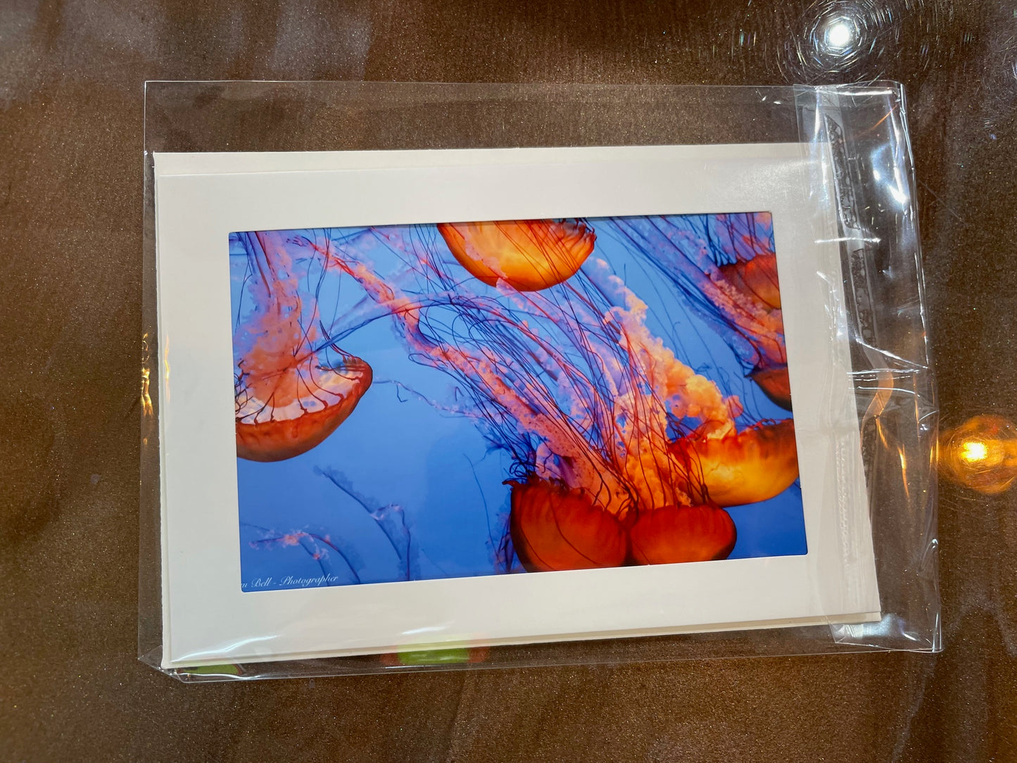 #15 4 x 6 Adam's Photography - Jellyfish