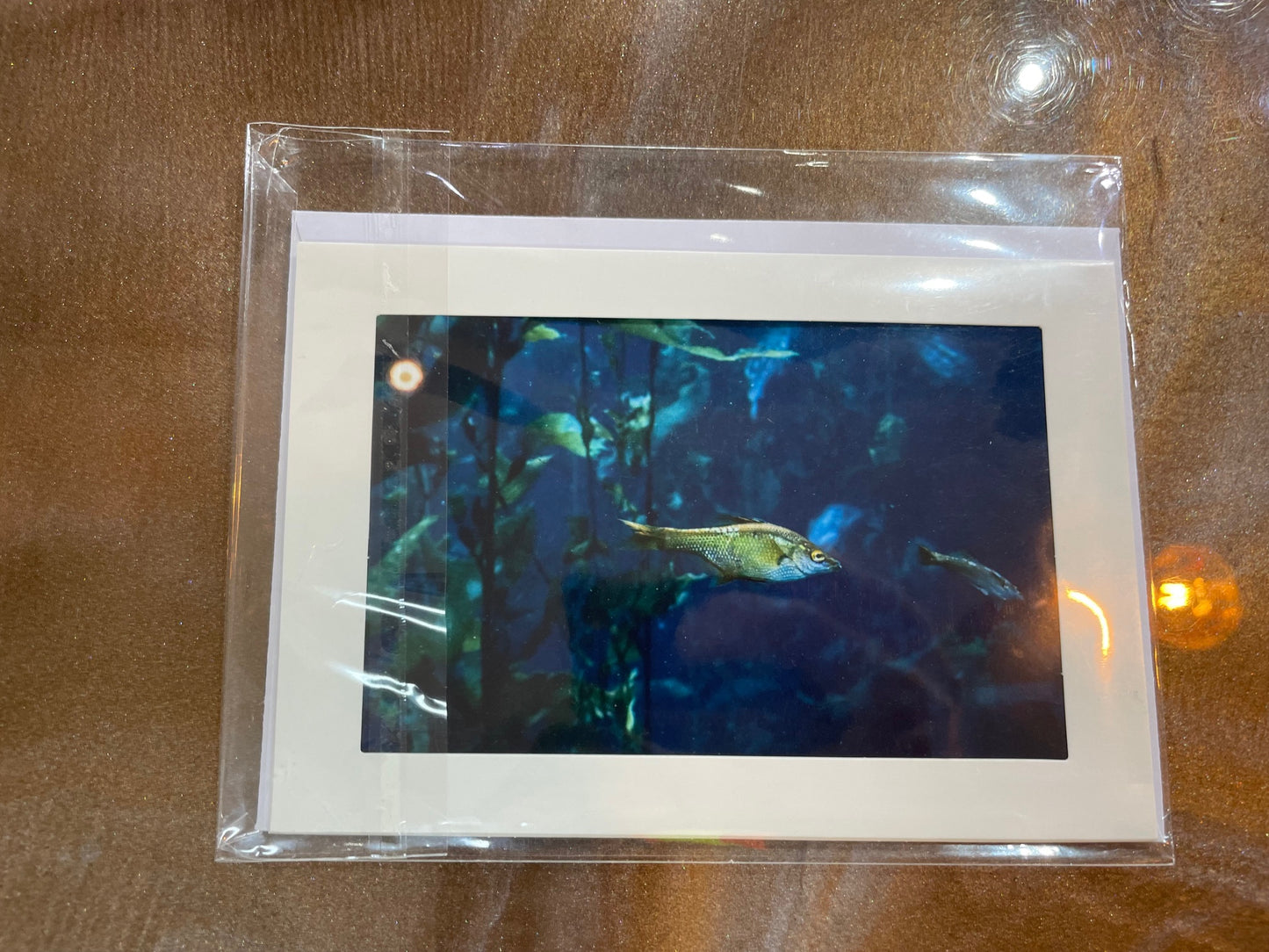 #27 4 x 6 Adam's Photography - Fish