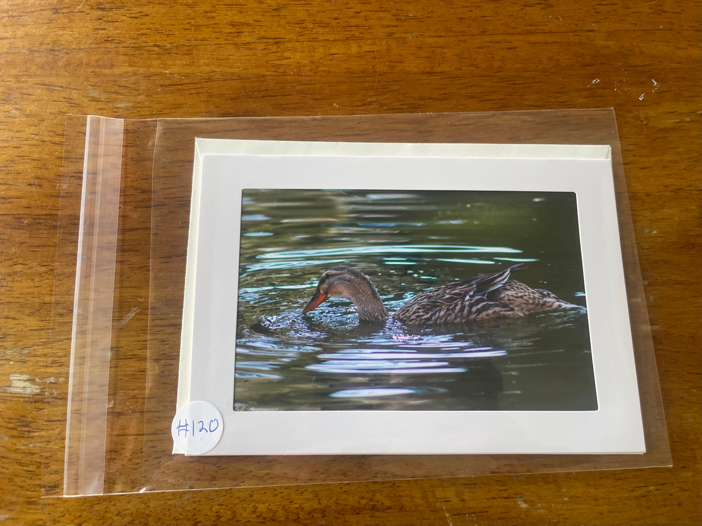 #120 Duck 4 x 6 Adam's Photography - Casa de Fruta