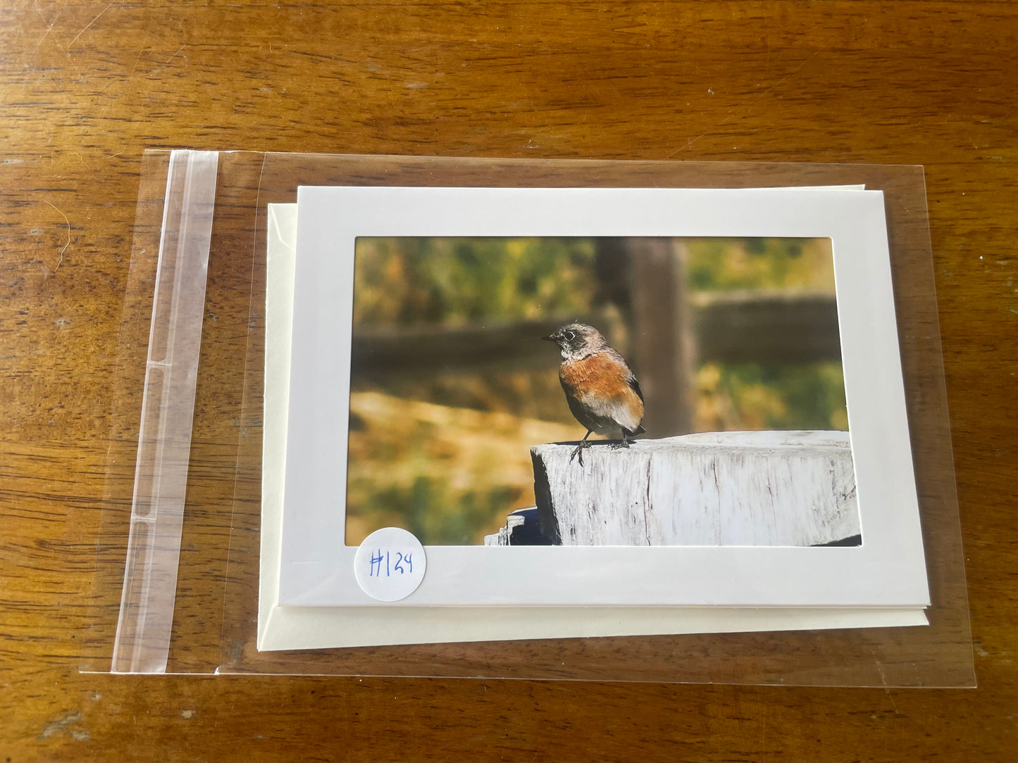 #124 Bird 4 x 6 Adam's Photography - San Benito County Historical Park