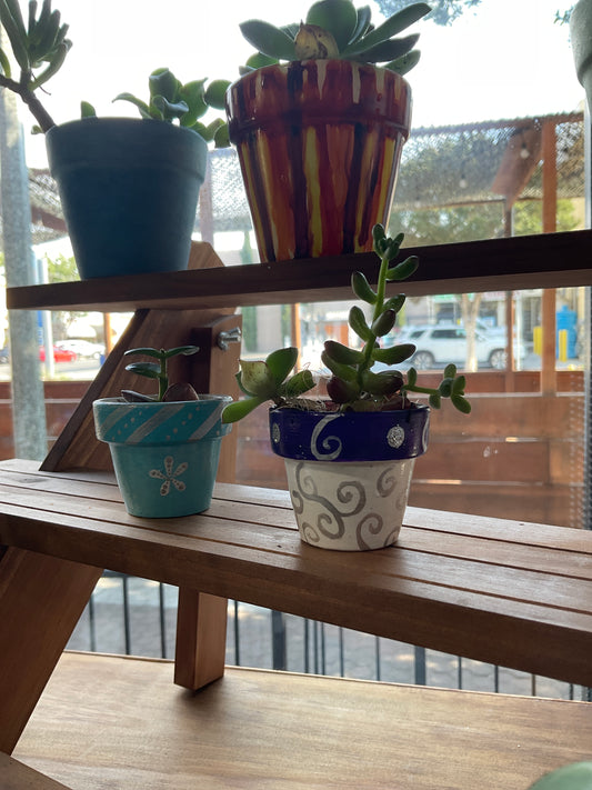 KK Mini Pot w/ Succulent