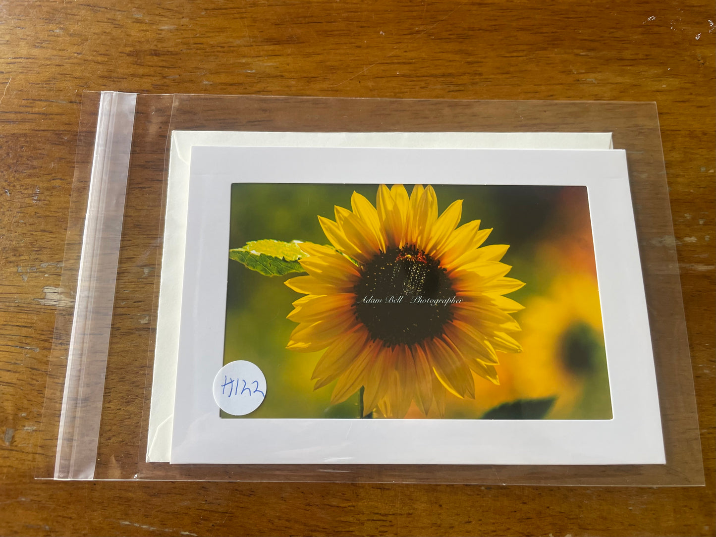 #122 Sunflower 4 x 6 Adam's Photography - Vista Hill Park