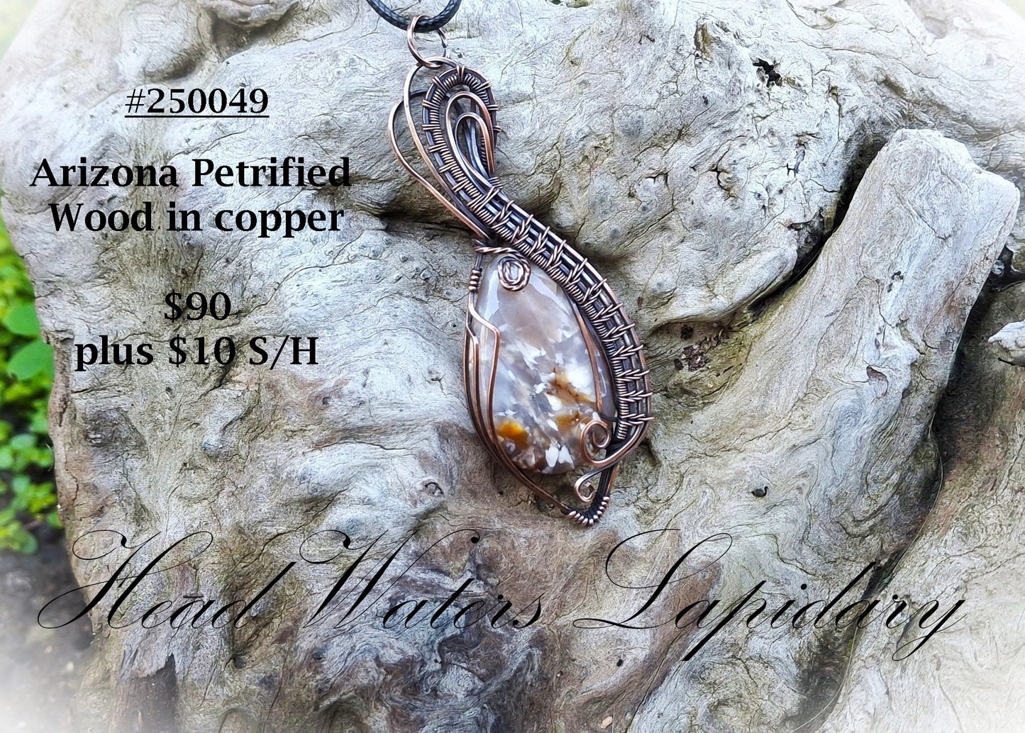 HL #250049 Arizona Petrified Wood in Copper