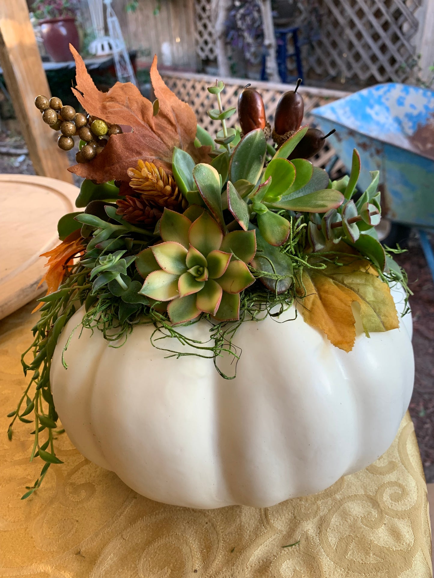 AA Fall Pumpkin Succulent Arrangement Class 10/25