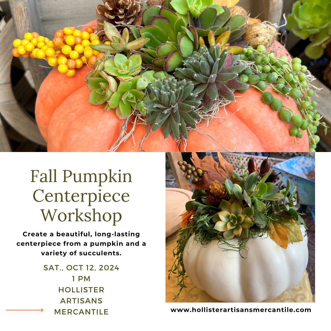 AA Fall Pumpkin Succulent Arrangement Class 10/25