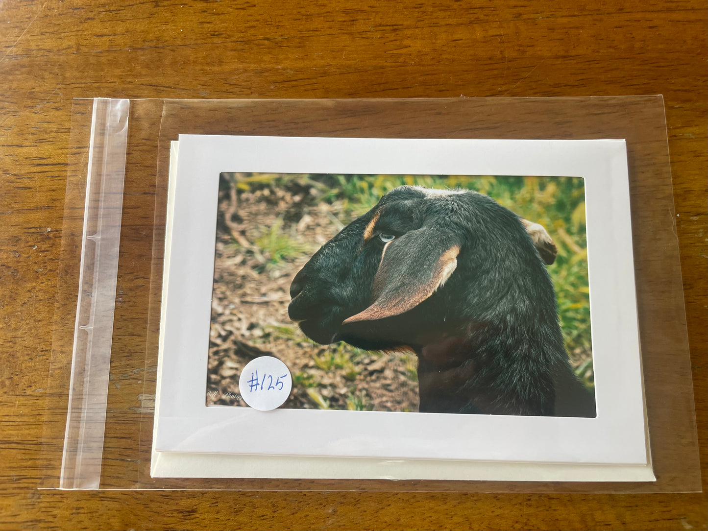 #125 Sheep 4 x 6 Adam's Photography - Monkey Trail