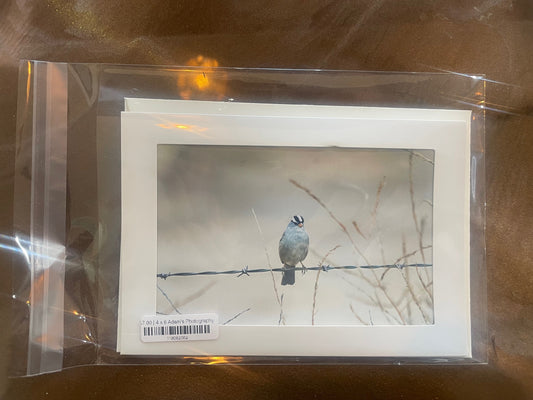 4 x 6 Adam's Photography - Bird