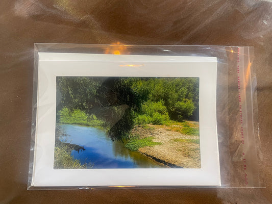 4 x 6 Adam's Photography - Water