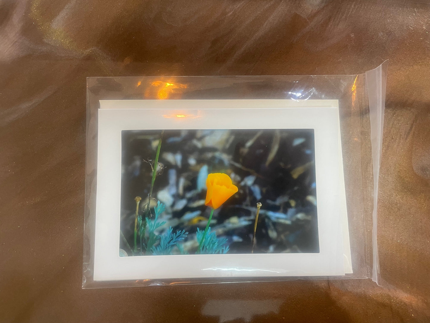 4 x 6 Adam's Photography - CA poppy