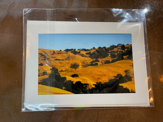 #14 4 x 6 Adam's Photography - Golden Mountains