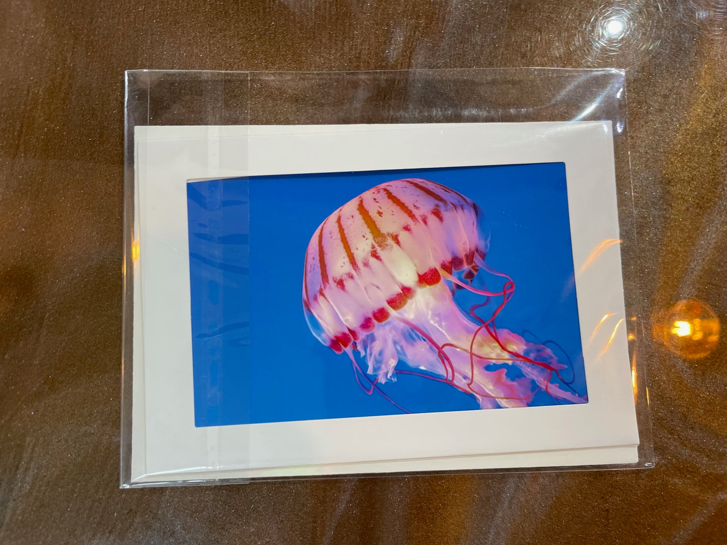 #23 4 x 6 Adam's Photography - Jellyfish