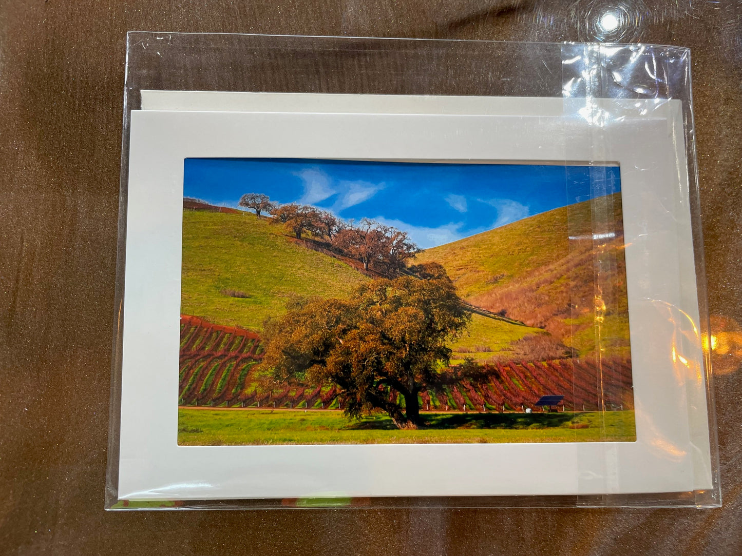 #20 4 x 6 Adam's Photography - Tree