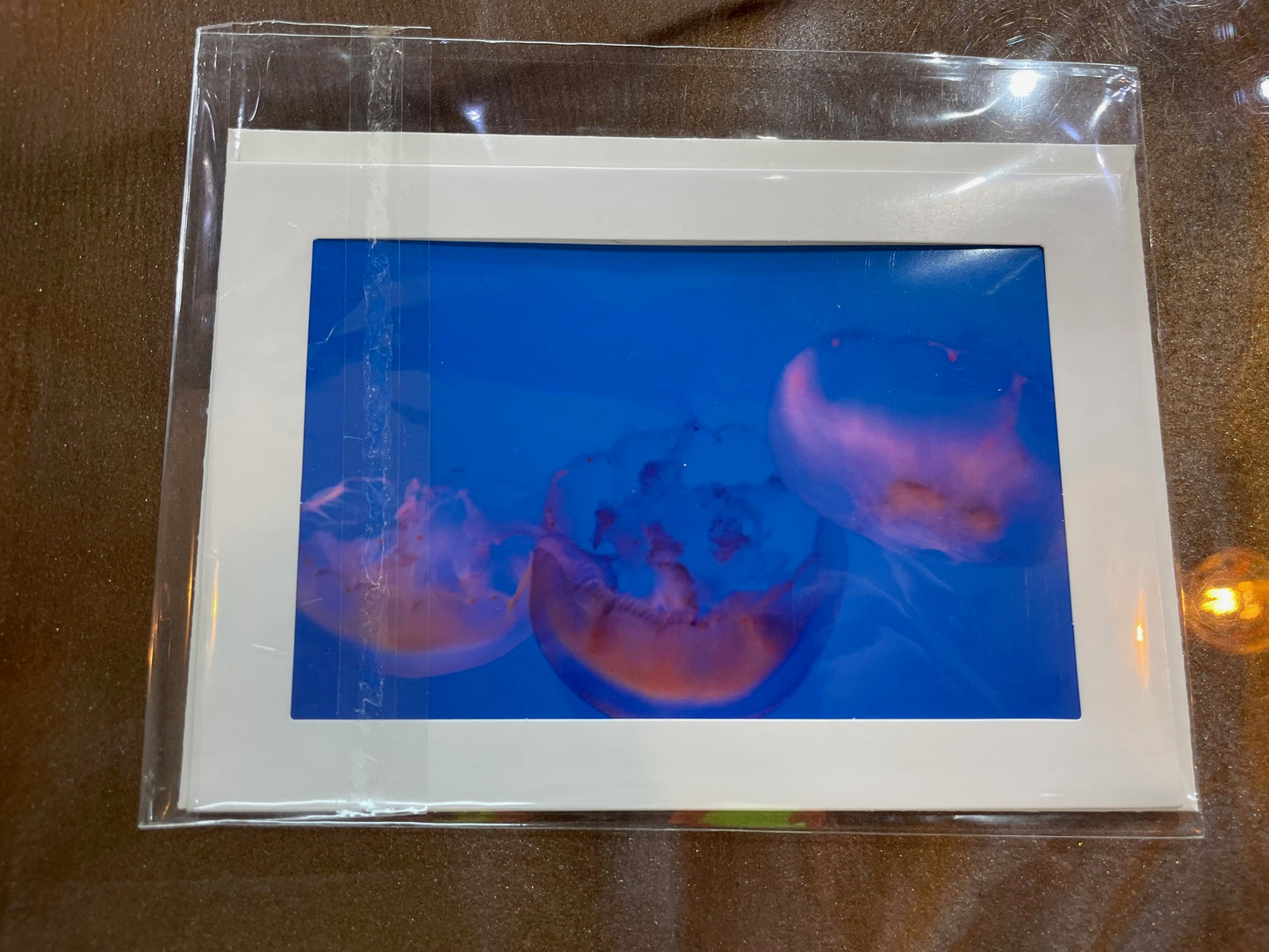#26 4 x 6 Adam's Photography -  Jellyfish