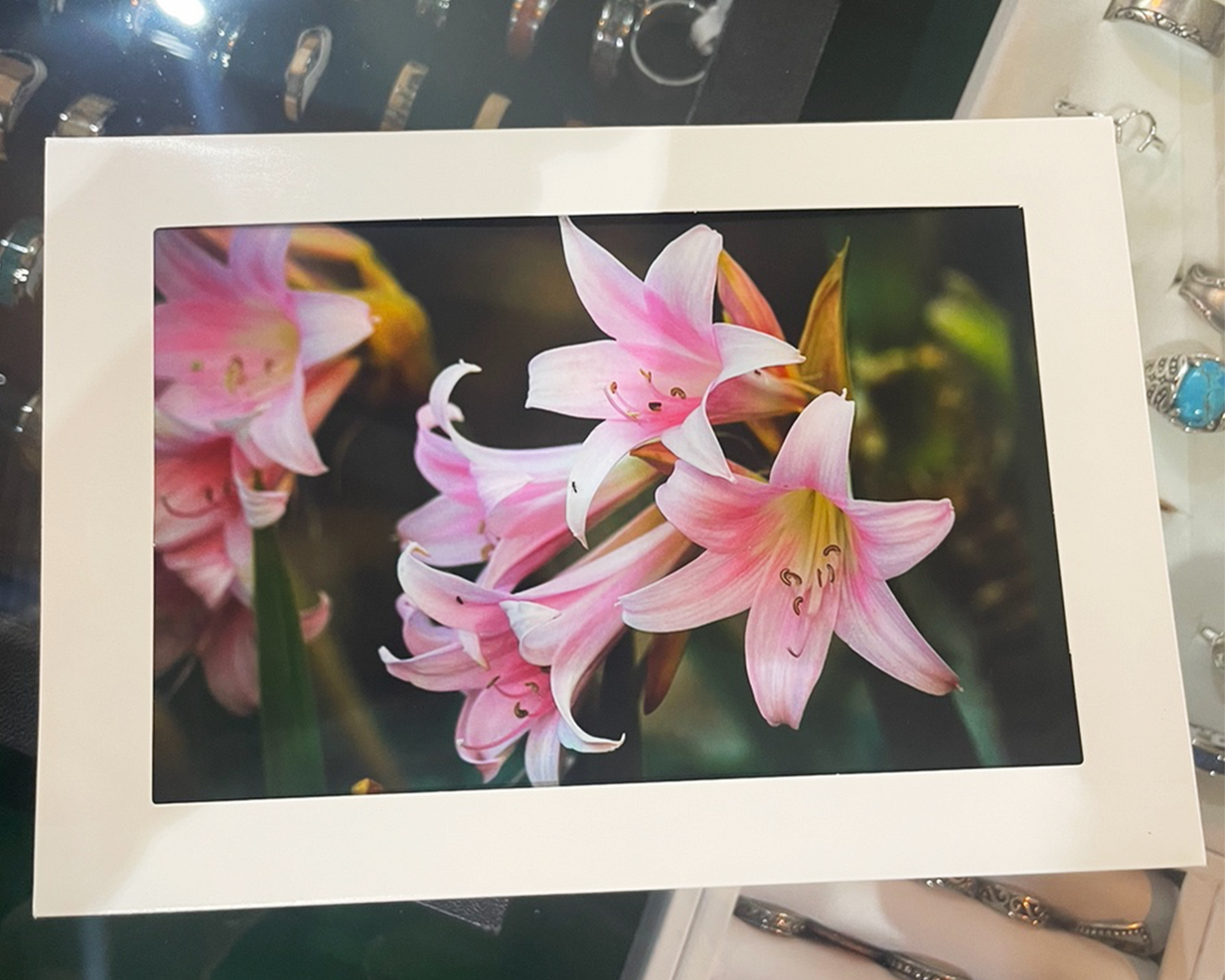 4 x 6 Adam's Photography - Pink Bell Flowers Note Card – Hollister, CA