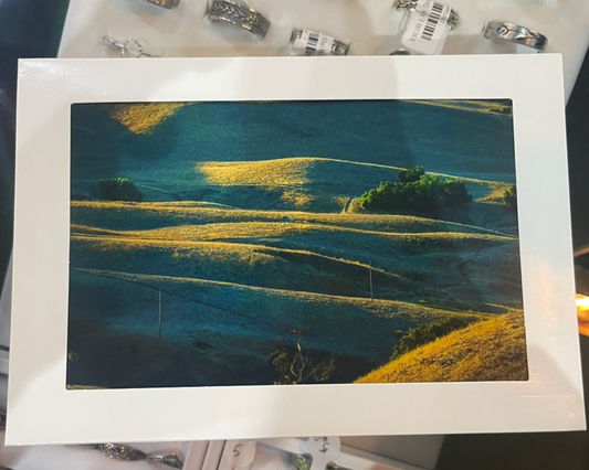 4 x 6 Adam's Photography - Sun Flashing into the Fields Note Card – Hollister, CA