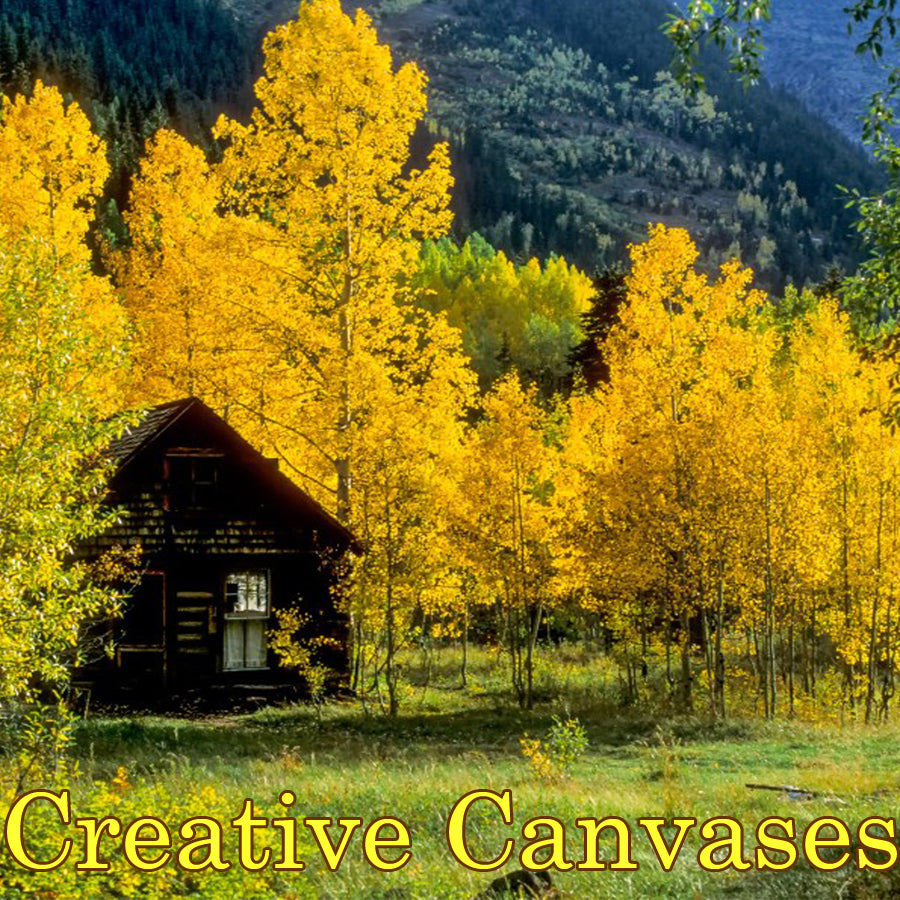 DB Creative Canvases Series 10/20