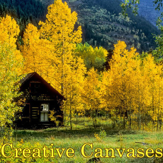 DB Creative Canvases Series 12/15